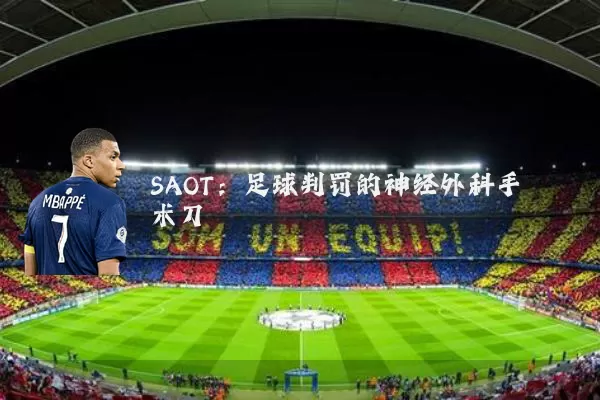 SAOT:足球判罚的神经外科手术刀
