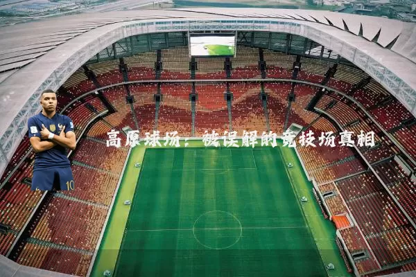 高原球场:被误解的竞技场真相